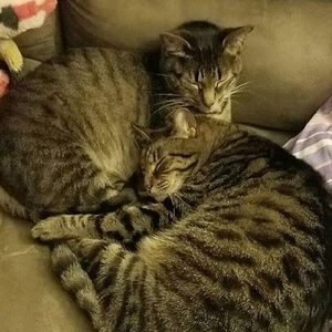 Meet your Posher, Amber